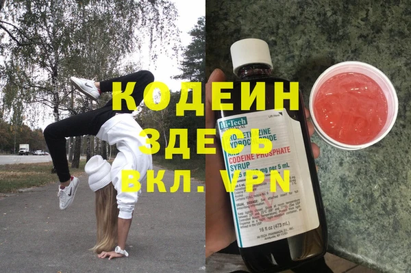 PSILOCYBIN Вяземский