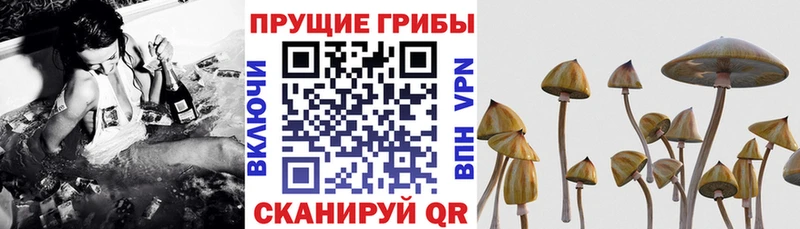 omg ссылки Еманжелинск Галлюциногенные грибы прущие грибы